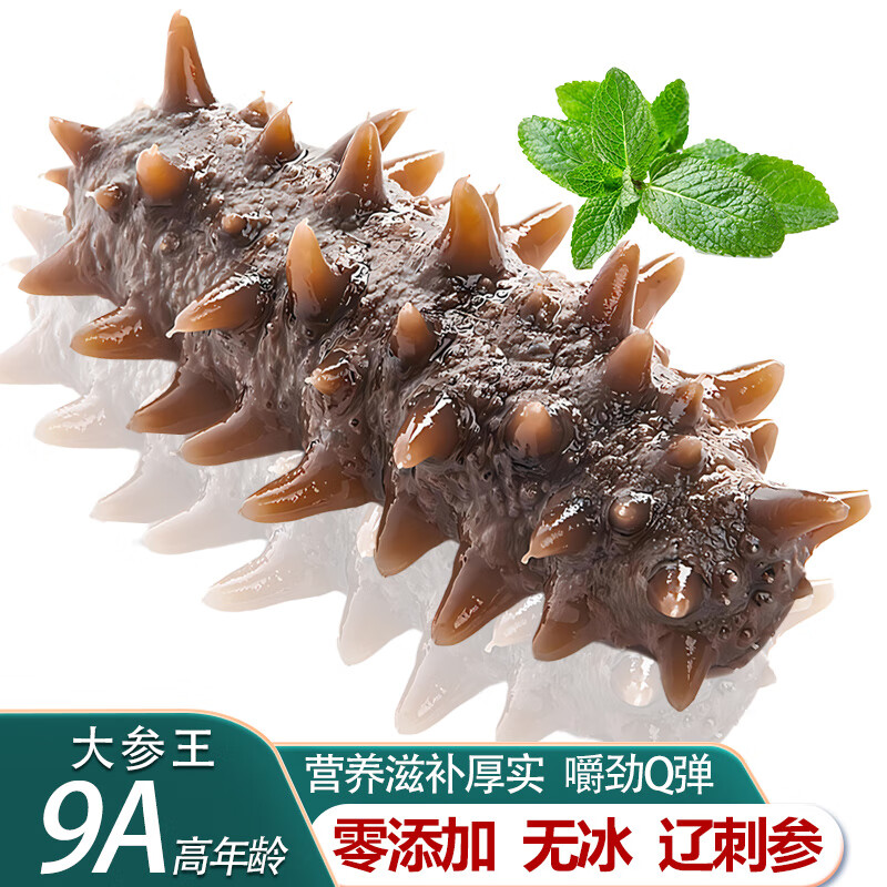 即食海参6只独立单只装大连辽刺参深海底播9A大参王高质量礼盒装 深海捕捞1斤4-6只【9A参王滋补】