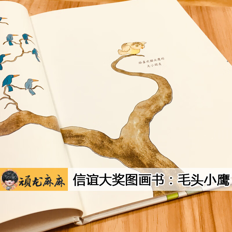 正版精装硬壳 毛头小鹰 0-3-6周岁幼儿故事书 宝宝启蒙绘本图画书
