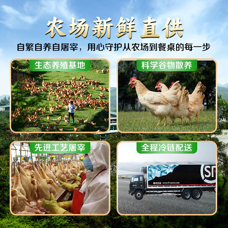 心厨优品温氏三黄鸡农家散养土鸡 农养走地鸡土鸡 炸鸡整鸡鸡爪鸡肉生鸡 三只标准装2400g