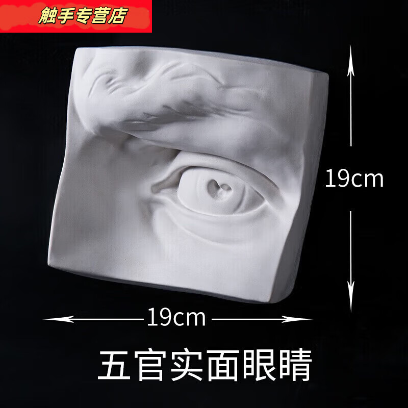 单个五官切面实面石膏像几何体教具美术素描写生眼睛耳朵头骨 五官实