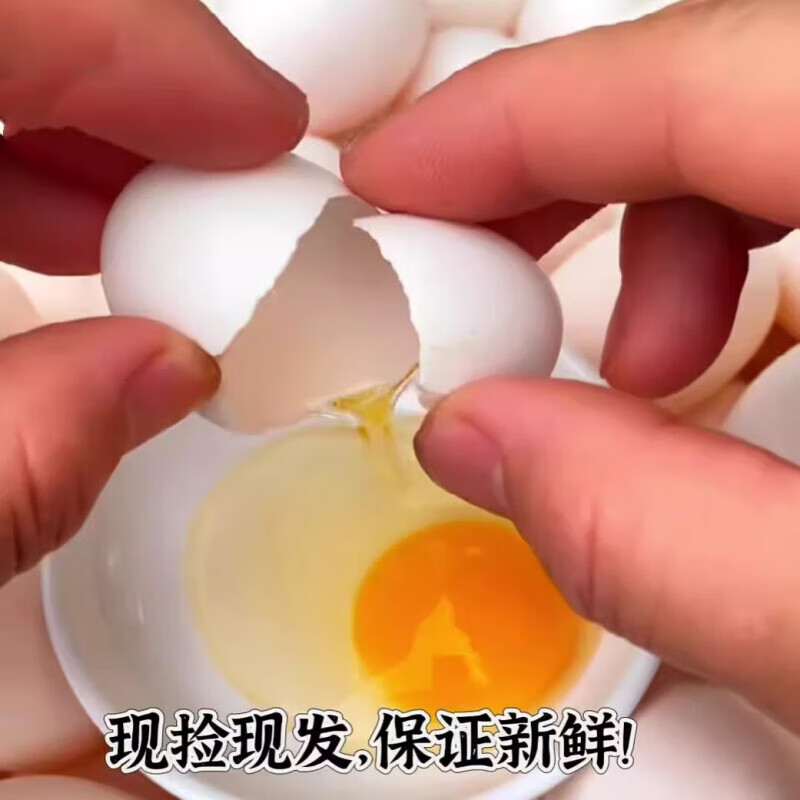 OIMG正宗农家散养新鲜鸽子蛋、土鸽笨鸽蛋、新鲜白鸽蛋、60枚 散养白鸽子蛋40枚
