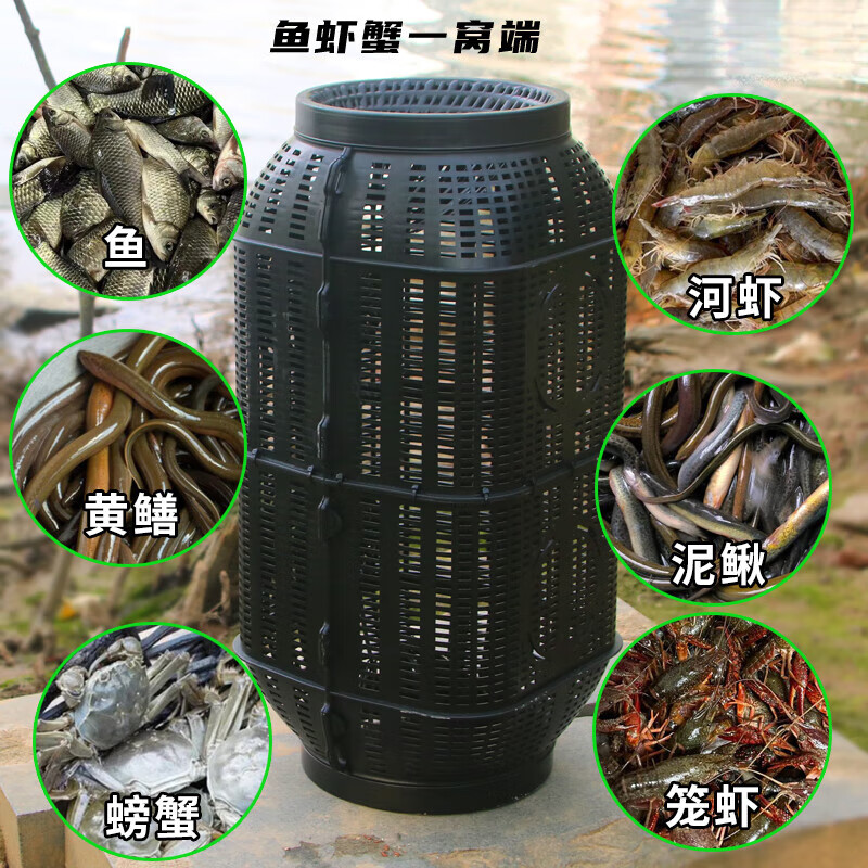 OENY大型超大鱼笼捕鱼网捕鱼笼龙虾网笼捕虾网黄鳝泥鳅超级大号抓鱼网 [大号2口笼]鱼笼1个送6米绳+配重盒