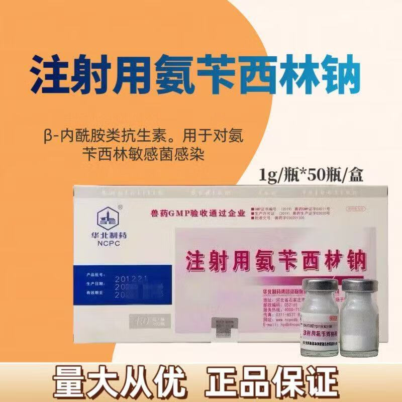 兽用注射用氨苄西林钠1g*50瓶/盒 2