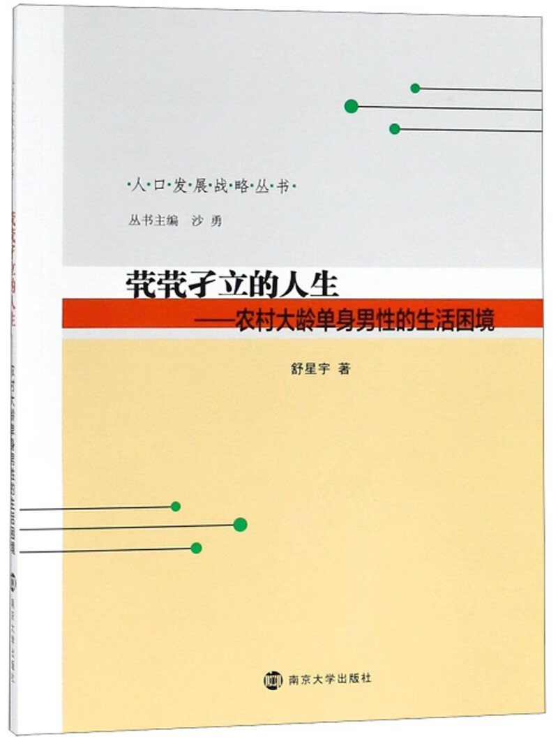 茕茕孑立的人生:村大龄单身男性的生活困境/人口发展战略丛书