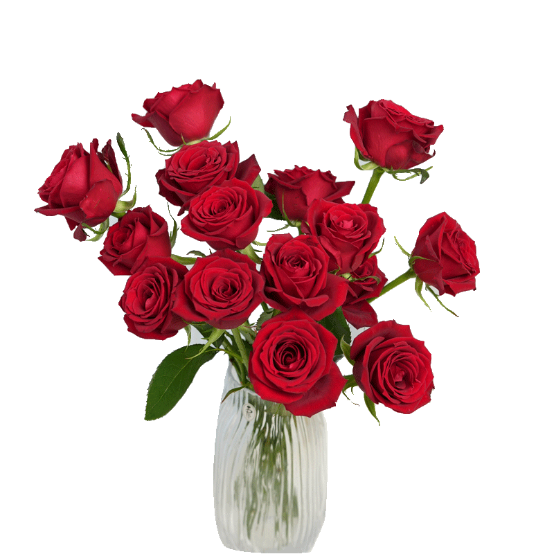 �����ʻ����õ��10֦���л�����ֱ����Ʒ�����������������ﻨ��Դͷֱ�� 25.9Ԫ