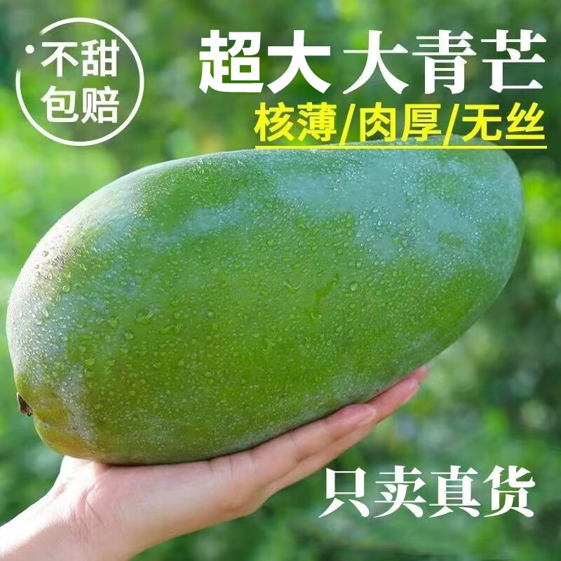 ���ڲ�������ӭ����ââ������������ժ����ˮ�����Ĵ�â����Ƥ���䷢ 5�ﾫѡ��������200g+����4.5��