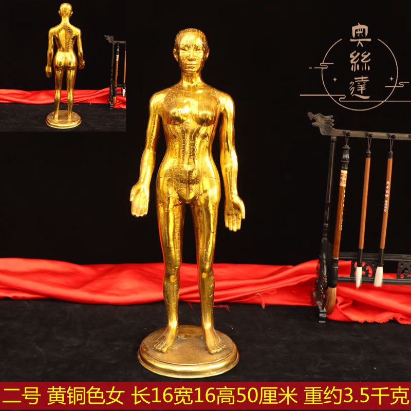 奧絲達(dá)純銅針灸人穴位人針灸人體模型銅人體經(jīng)絡(luò)圖擺件中醫(yī)藥醫(yī)館銅人 二號(hào)女款黃銅色高50厘米穴位人
