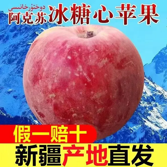 【新疆直发】阿克苏冰糖心苹果丑脆甜红富士苹果当季新鲜水果 带箱9-10斤特大果