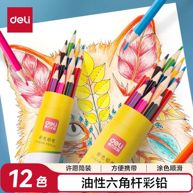 得力（deli）12色油性彩铅原木六角杆彩色铅笔初学者彩绘素描手绘专业学生儿童礼物学生开学礼物