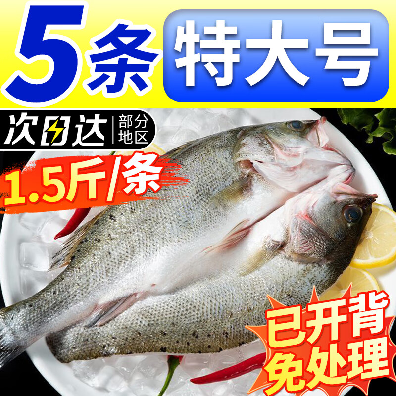 海鱸魚開背新鮮冷凍鮮活深海魚白蕉七星海盧魚水產(chǎn)烤魚半成品商用 海鱸魚700-750g[20條]特大號(hào)免處 700-750g