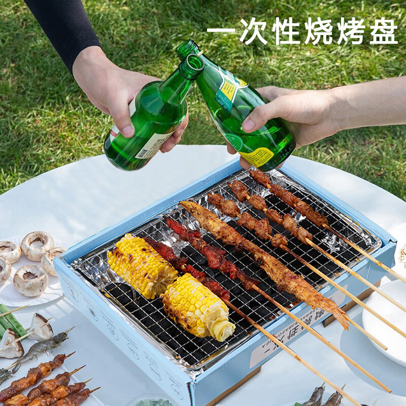 便携式一次性烧烤炉烧烤架宿舍烤肉野外木炭烧烤炉具全套烧烤工具 一次性烧烤炉+30粒果木碳+刷+网