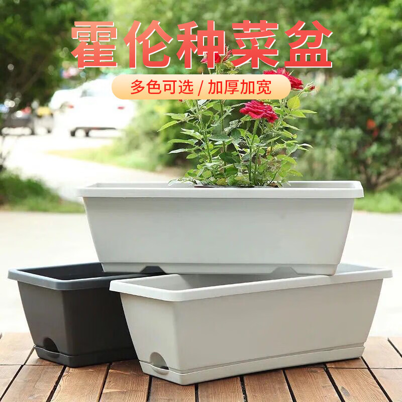 �¿�����ֲ��������̨�Ӻ�����߲����������ֲ�����ϻ��� ��ɫ+��*3�� ��ţ���50cm����19cm����15cm