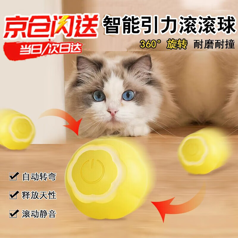 ���ó���è��߶�è�����˽������ܹ�����綯������߳���è�������Ʒ ���˹����򡾳����ɫ