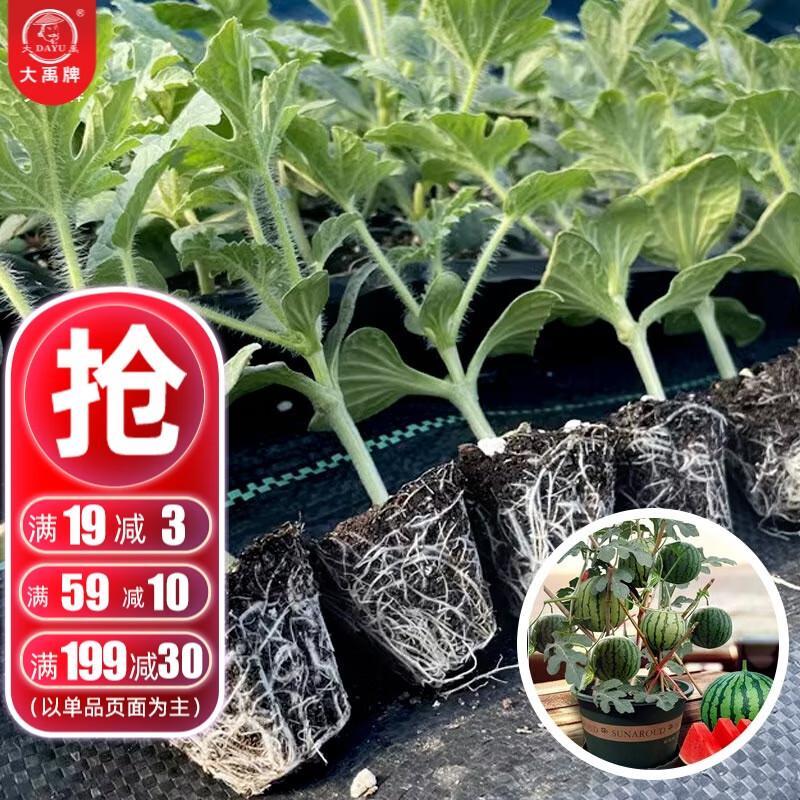 ���������������������8424�޽�����������������߲�����̨���Դ��� 8424������������� 5��