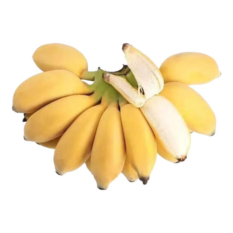 ���ڲ�������ʼ����С�׽�����ˮ��ĴָС�㽶��ժ��ɫӲ��(С��Ʒ�������) ����4.5���ͥװ(�������) 11.64Ԫ