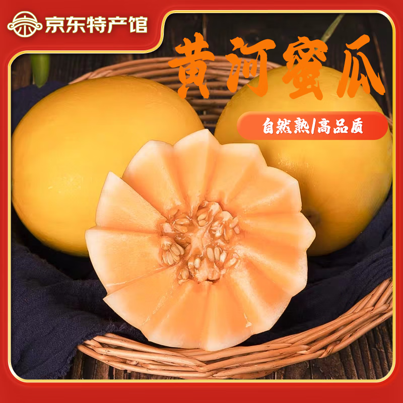 正宗黄河蜜瓜现摘沙漠甜瓜当季新鲜黄金蜜瓜香瓜甜瓜 黄河蜜瓜4-5斤（2-3枚）