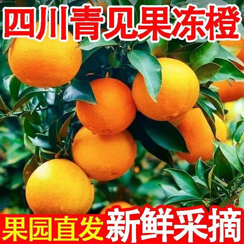 ��۷����Ĵ�������¹�����9���������ˮ��Ӧ���������۽۴��������� 5�� ����75-80mm