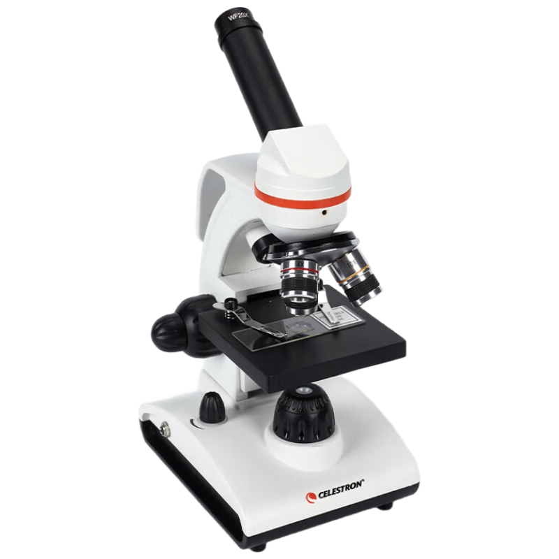 �����������ѧ��΢��1600���߱�����רҵѧ����ͯ����ʵ����S82103 298Ԫ