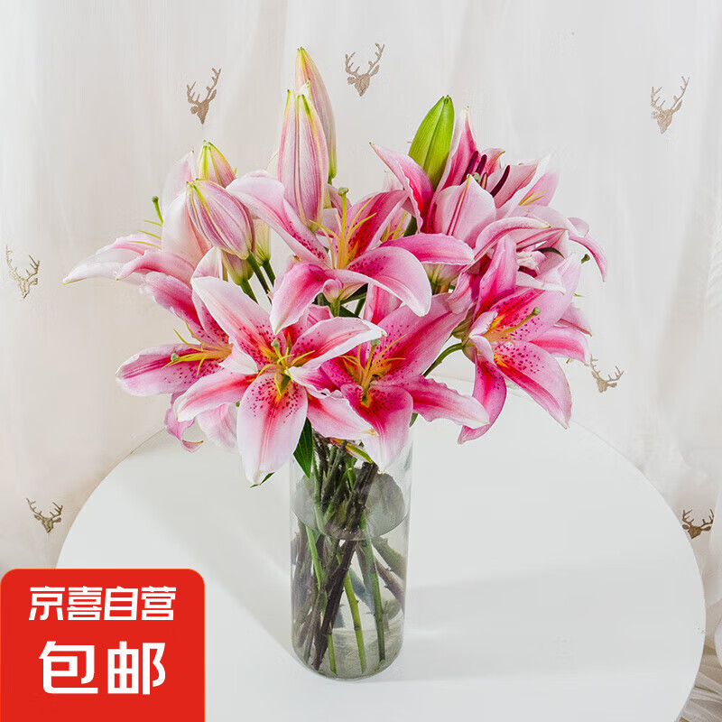 ��ˮ�ٺ��ʻ��廨ˮ�����л�����ֱ���Ӽ�ˮ���칫�Ҳ廨 ��ɫ��ˮ�ٺ�3֦9��