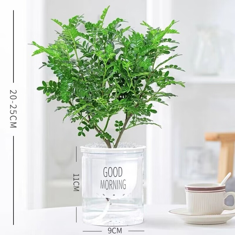 ����������ò������������Ժ���ľ��׮������ֲ����ֲ����̨�����辰�� ������������+�簲��ˮ��һ�裨�ͷ��ϣ� ����