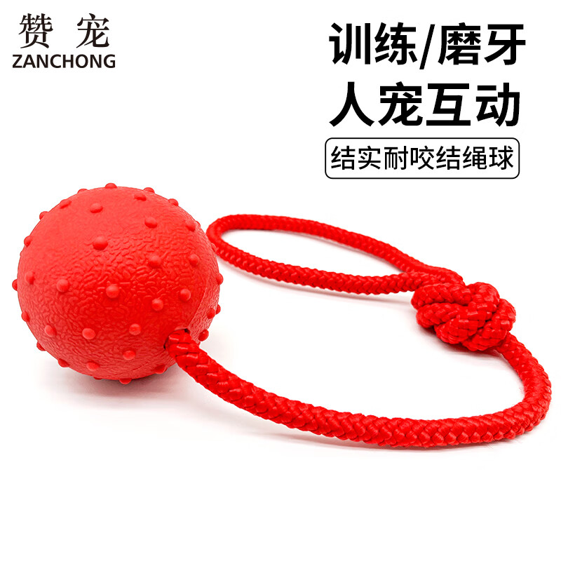 �޳蹷������ѵ�����ɫ ���ĥ��ʵ���Ϳ�ҧ���˽��Ƴ���TPR����� 