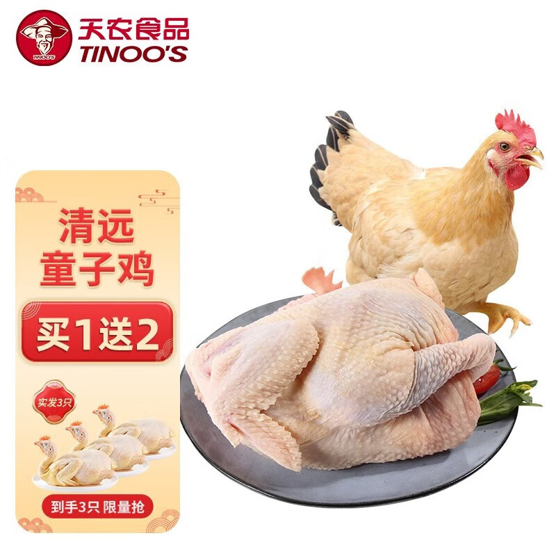 天农食品清远岭南童子鸡 新鲜无抗鸡肉整鸡 农家散养土鸡 清蒸烤鸡小嫩鸡