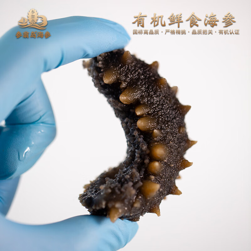 参翁岛【批发促销】有机鲜食大连底播即食海参 新鲜辽刺参 国标有机认证 有机鲜蒸即食海参8斤*1箱64-96头
