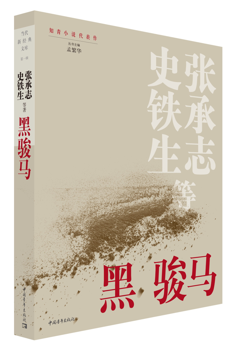 黑骏马