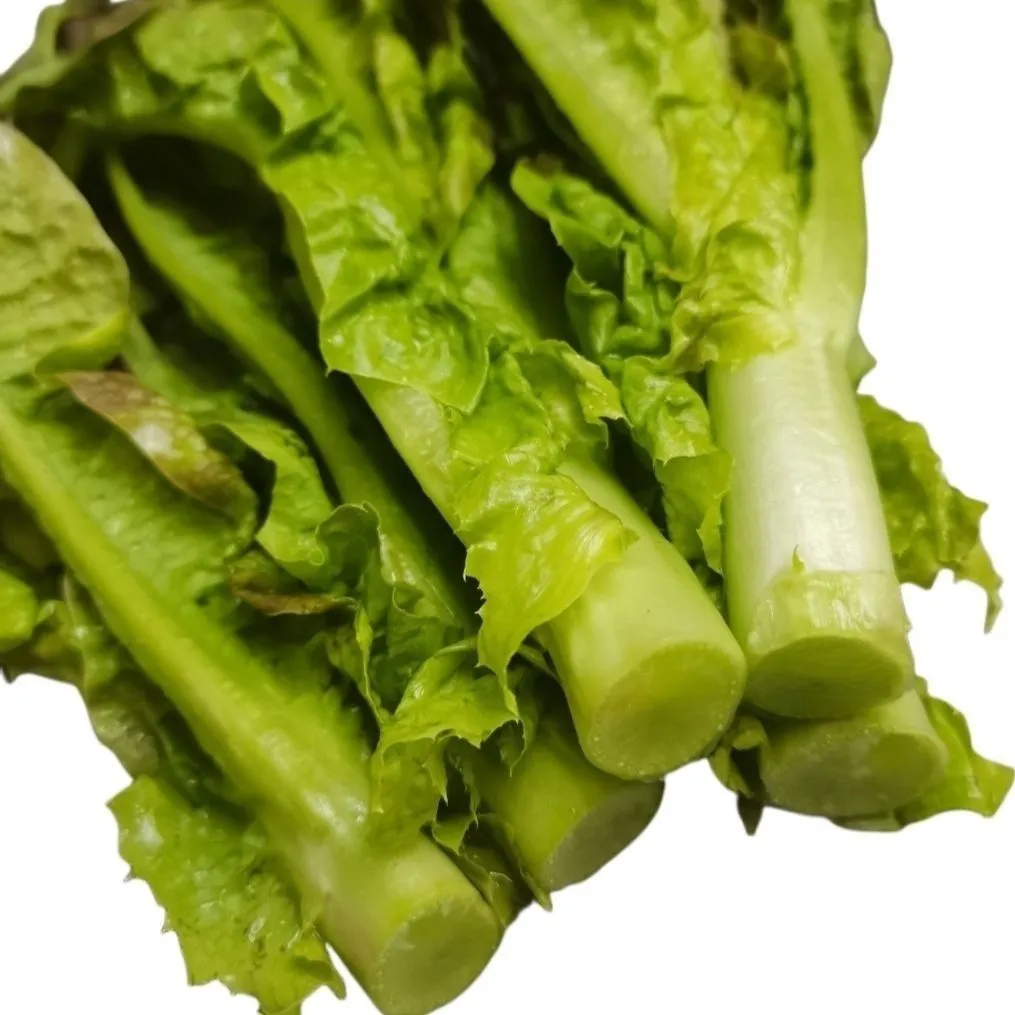 新鲜莴笋莴苣紫叶尖嫩丫细叶青笋尖火锅油焖辣炒时令蔬菜现摘现发 5斤泡沫箱