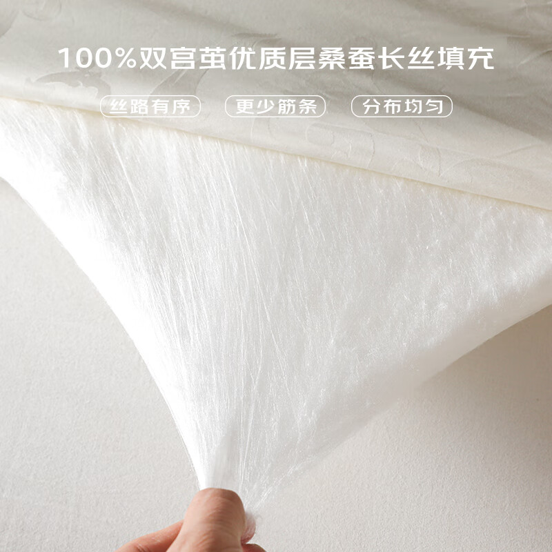 山水丝绸 蚕丝被子被芯全棉提花双宫茧长丝100%桑蚕丝秋被冬被二合一保暖 四季通用-净重1+2斤子母被 150*210cm(国标优等品)