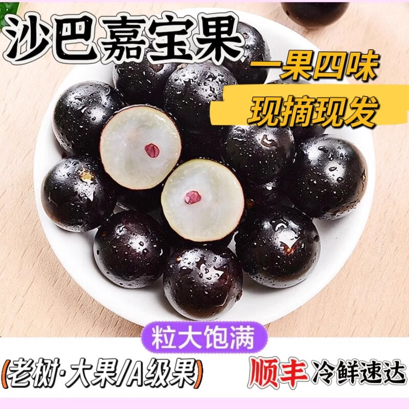 舌尖乡甜【顺丰多地次日达】 福建沙巴嘉宝果树葡萄新鲜现摘稀有罕见水果  净重1斤中大果 果单果6-10g