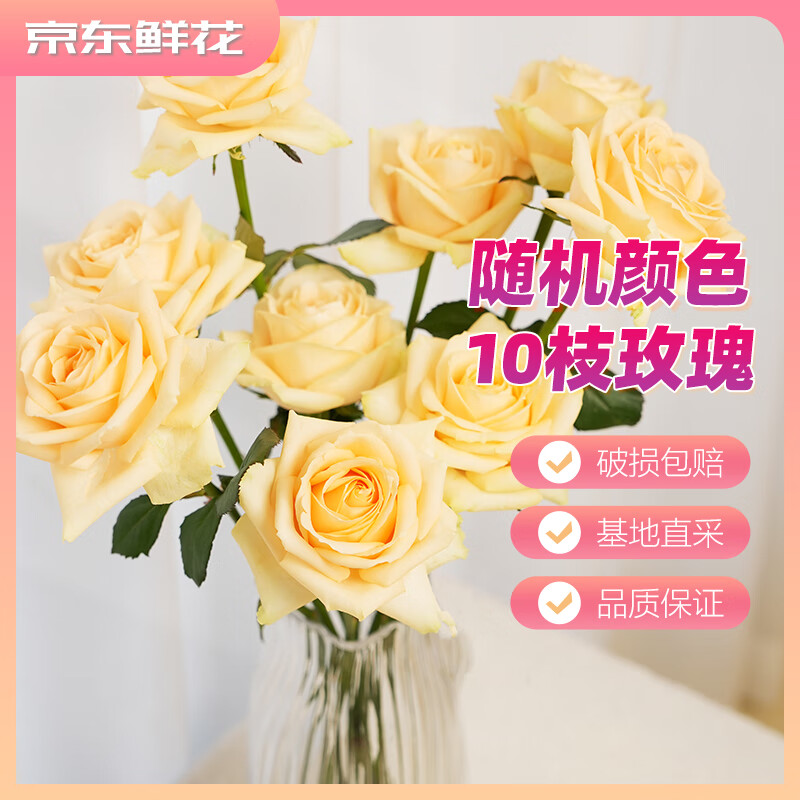 �����ʻ�õ�廨�����ɫ10֦������������Ů�������������ʻ�Դͷֱ��