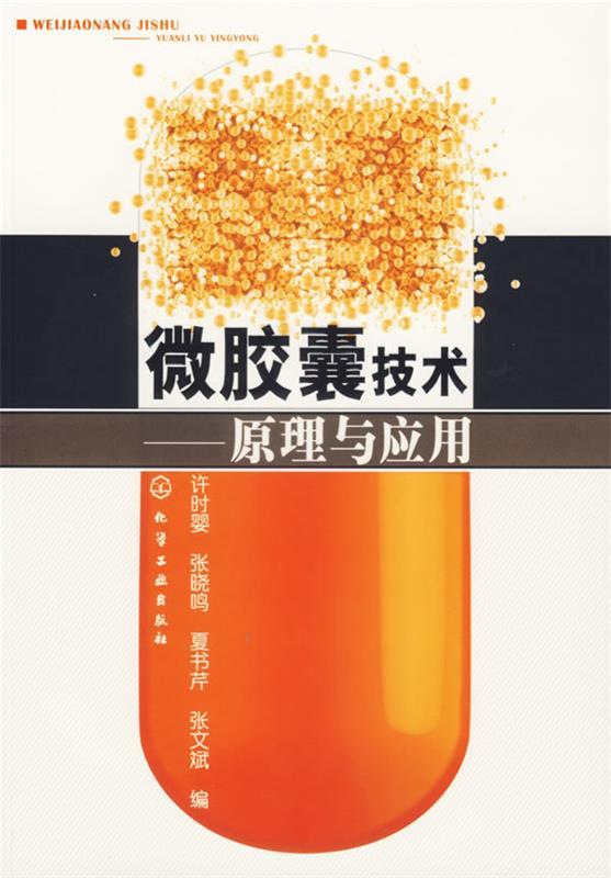 微胶囊技术:原理与应用 许时婴 等编【正版】