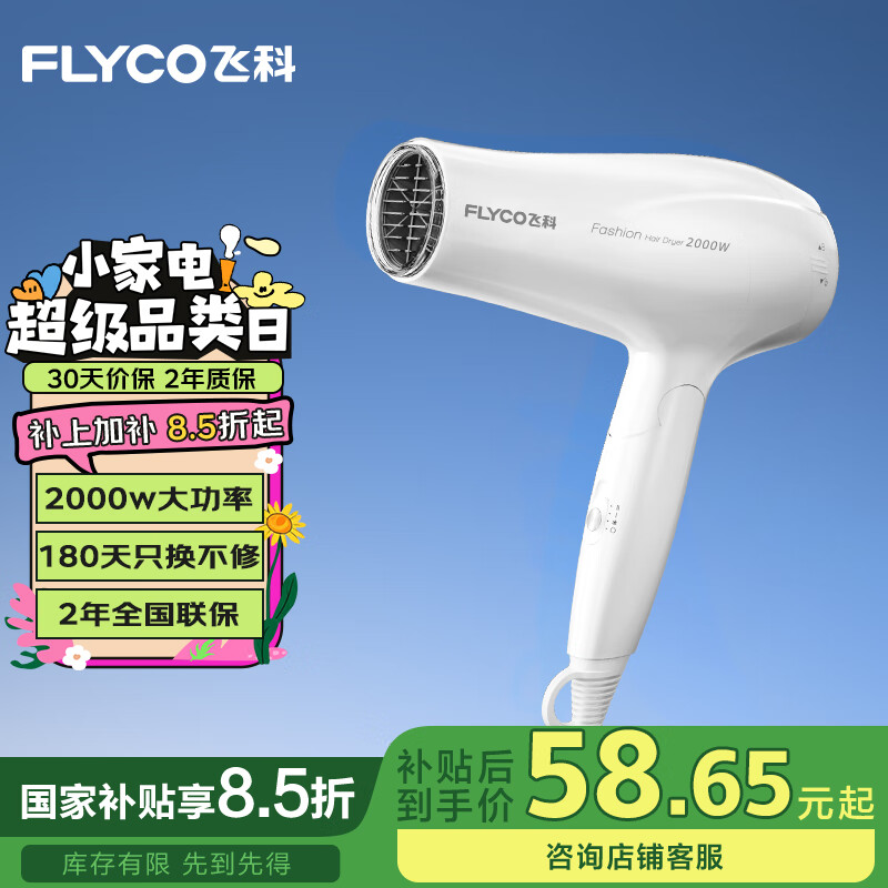 飞科（FLYCO）电吹风机家用发廊大功率2000W速干恒温便携可折叠白色FH6232