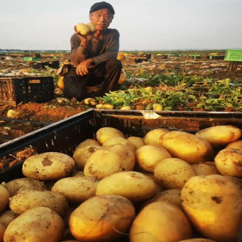 ���ʻ������� ũ������ ��Ƥ������ 5�� 5.4Ԫ