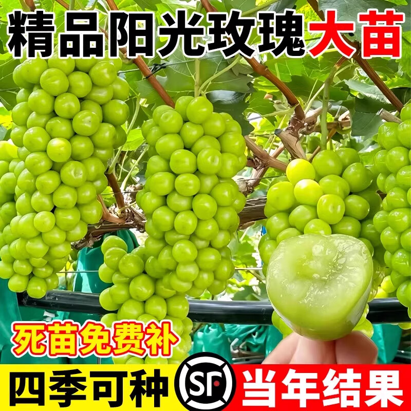 �������m����õ������������������Ϸ���ֲ�޷����������������� ����õ�� 2����