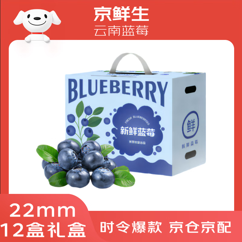 先领99-20.1补贴卷 自营京鲜生 云南蓝莓 超大果22mm 12盒礼盒 - 线报酷 先领99-20.1补贴卷 自营京鲜生 云南蓝莓 超大果22mm 12盒礼盒 - 线报酷