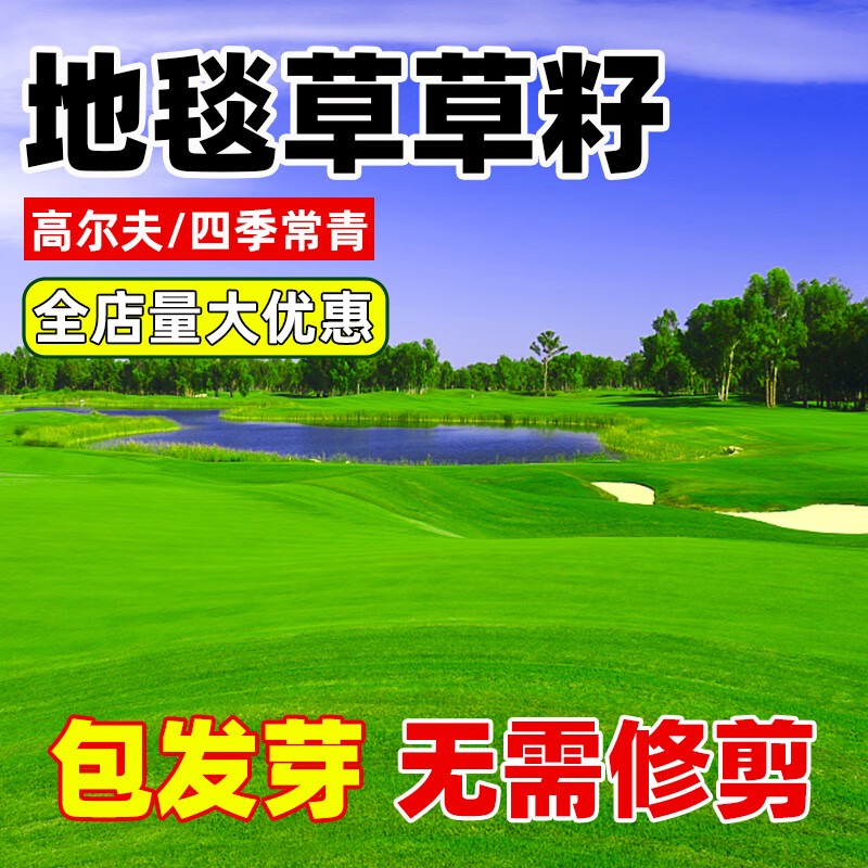 草坪种子护坡草籽草皮种子四季常青庭院免修剪耐寒草坪草绿化工程 地毯草净籽5斤【庭院别墅】