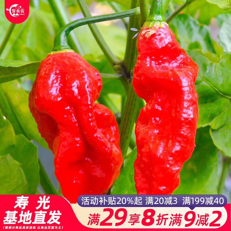 ����ũ ħ����������������Ƥ�������������� ��ħ��������50��/��(����)