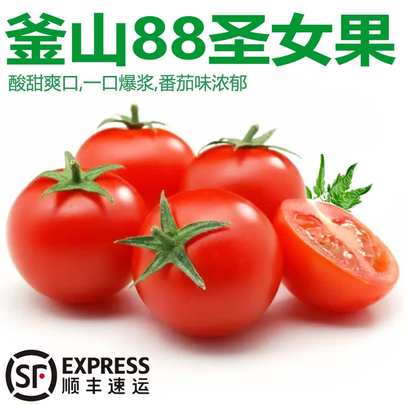 诸氏橙品【精选】圣女果  山东新鲜小番茄 小西红柿 当季孕妇水果生鲜整箱 精选 2.8- 3斤 家庭装