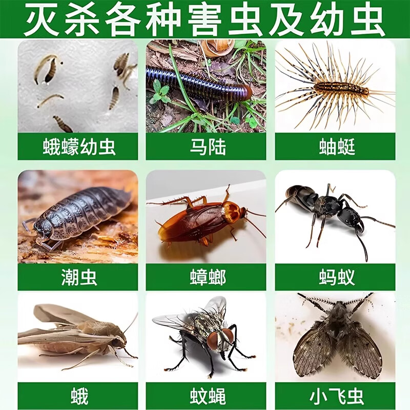 户净下水道去除小飞虫专用蛾蚋杀虫剂下水道杀虫剂家用室内无毒杀爬虫 1盒【50粒】一放无虫