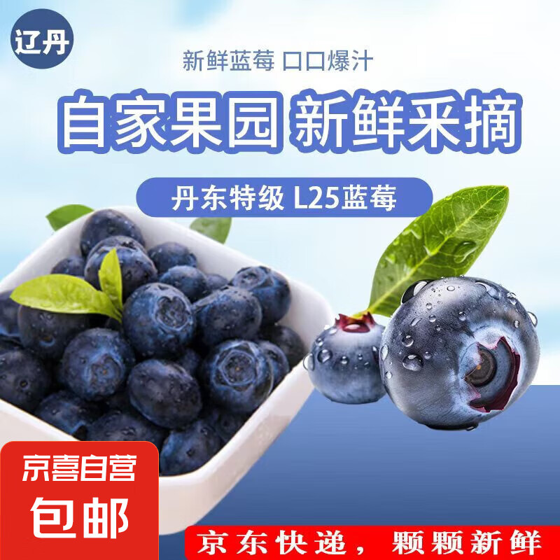 ����������ݮL25�ؼ���ݮ���ʴ�� ������ժ ������ݮ����450g����15mm+