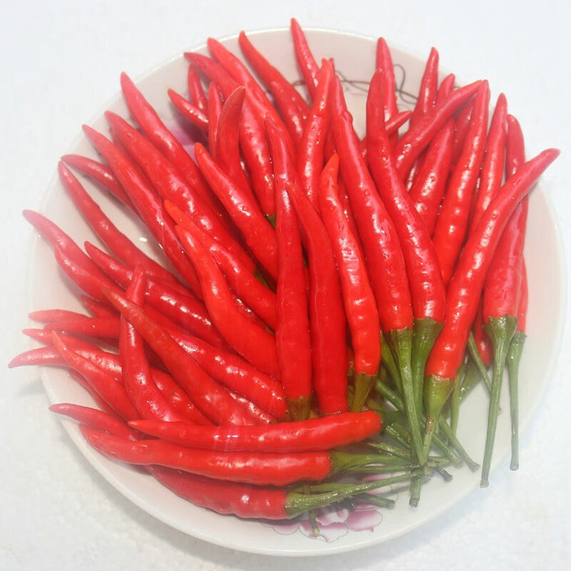 风筝王小米椒 辣椒 新鲜小米椒尖椒小米辣超辣朝天椒指天椒特辣产地直发 特辣现摘1斤
