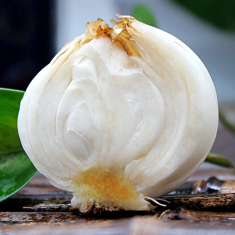 新鲜现挖兰州百合精选九年生大百合农家食用甜百合 9年生大果1斤装3袋