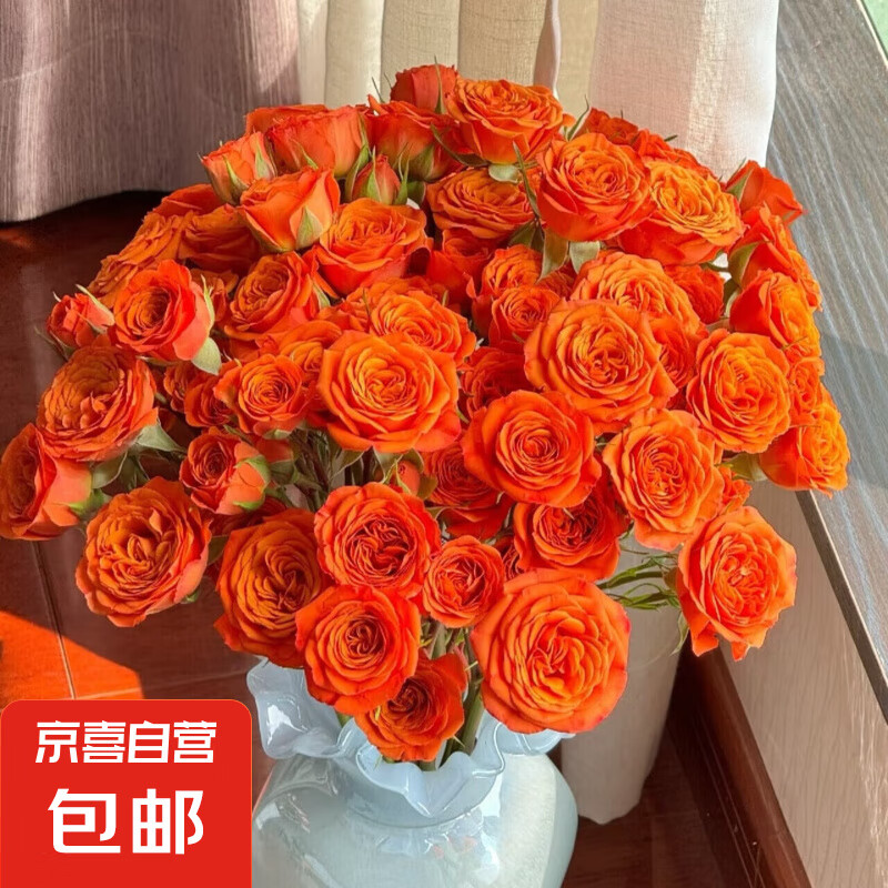 ��ͷõ����ɫƷ�����5֦����ֱ��   4 Ʒ����ɫ���5֧ ֦��40cm-60cm