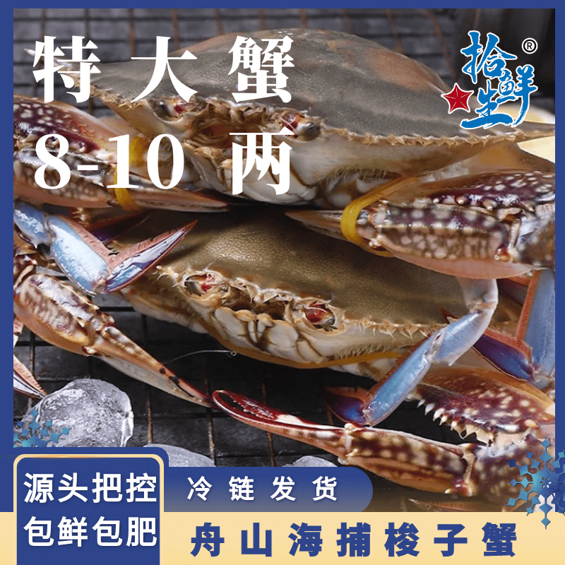 【冷冻】拾鲜生 活冷冻梭子蟹舟山特大螃蟹海蟹3斤8两-1斤/只 当季新蟹 源头直发包邮
