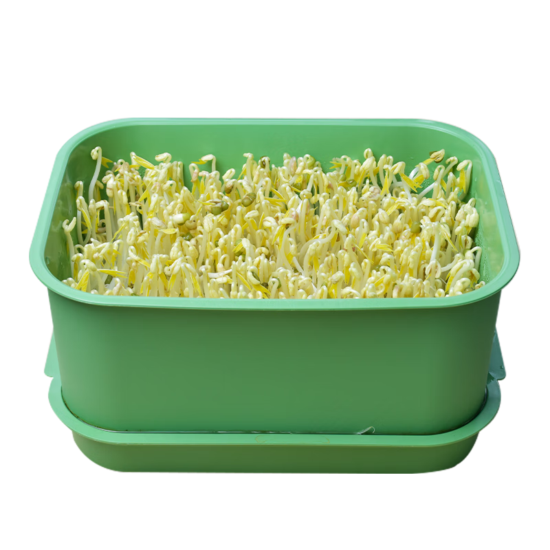 伟照业豆芽发芽盆豆芽罐家用生豆芽机发豆芽桶黄豆绿豆发芽盆神器 普通款1套