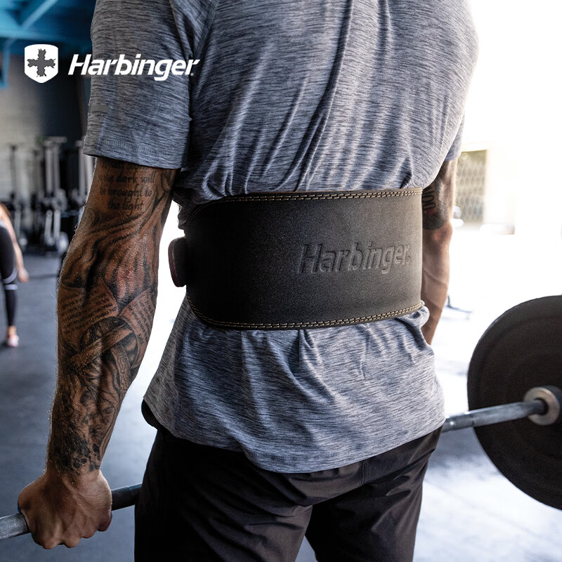 Harbinger哈彬者进口健身腰带力量举重深蹲硬拉牛皮杠杆运动训练 宽约15cm/三层牛皮/麂皮内衬 L(腰围86-97cm)