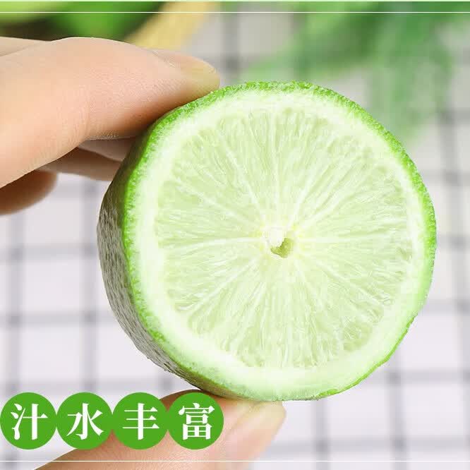 云南正宗香水柠檬无籽奶茶店专用青柠檬新鲜水果现摘子弹头小青柠 净重3斤装【单果50-90g】
