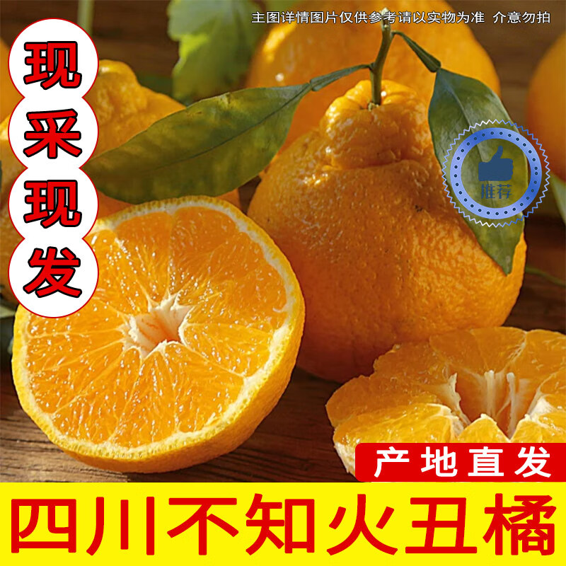 智洲四川不知火丑橘 新鮮桔橘耙耙橘子水果 整箱約2.6斤-2.1斤/凈含量950g